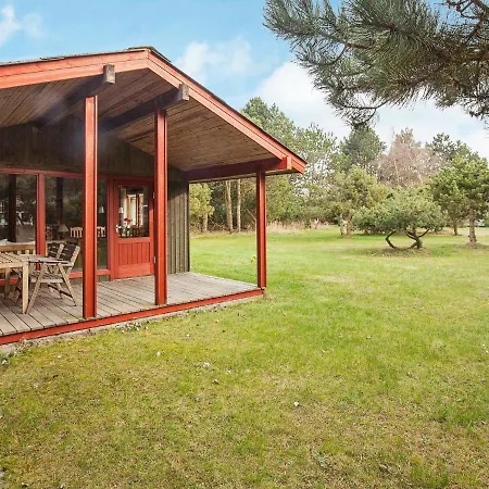 Amazing Holiday In With Barbecue