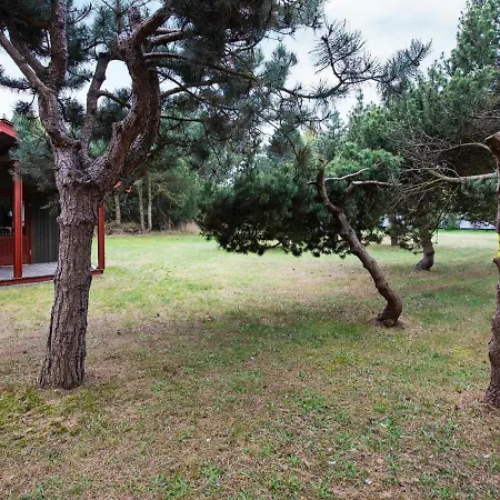 Amazing Holiday In With Barbecue Holiday home